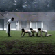 Image for article titled British ratings board rejects Human Centipede 2, calls it a "real risk" to viewers due to "sexual perversity"